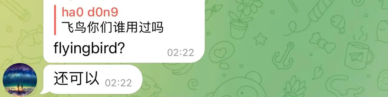 飞鸟机场推荐用户评价5