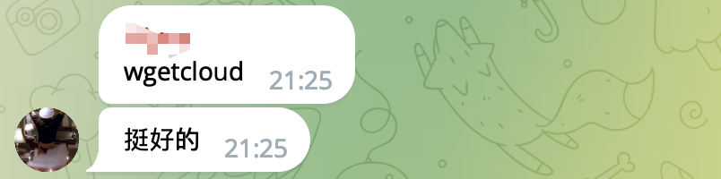 WgetCloud机场推荐用户评价截图1